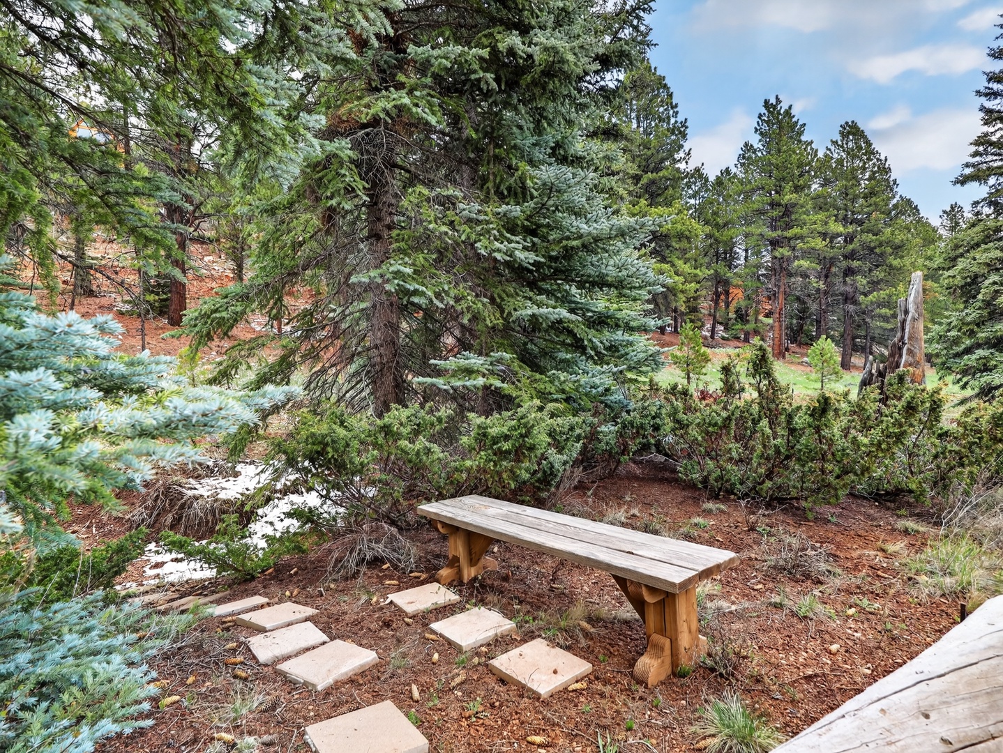 Peaceful forest setting with privacy and natural beauty
