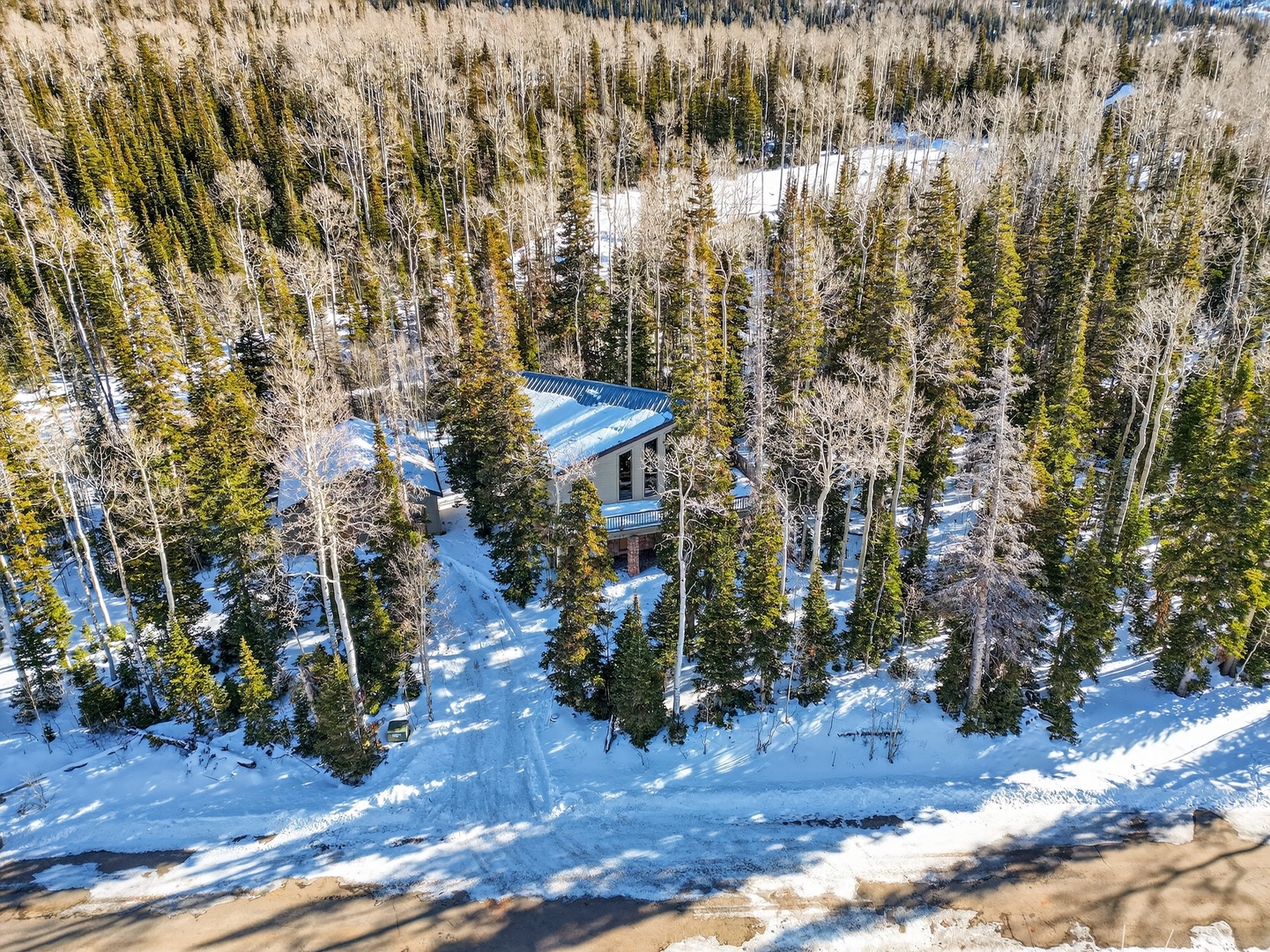 Secluded winter retreat nestled among snow-covered evergreens and bare aspens in pristine wilderness setting.