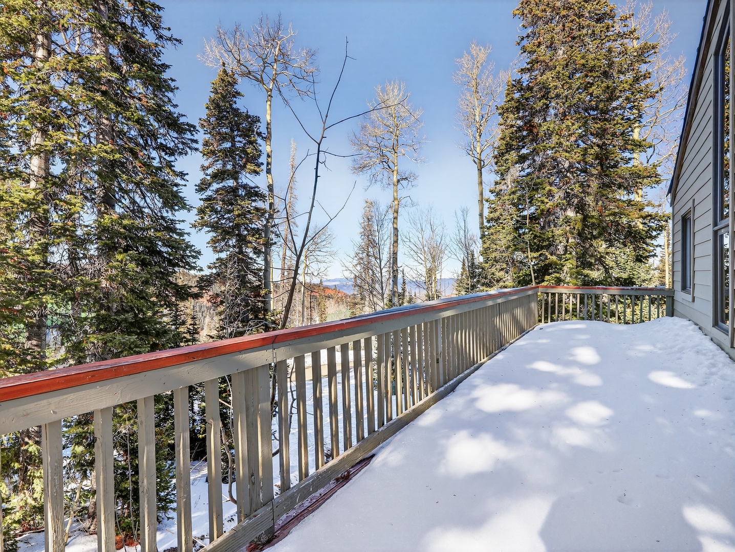 Snow-covered balcony overlooks peaceful winter forest with distant mountain views through towering evergreens.