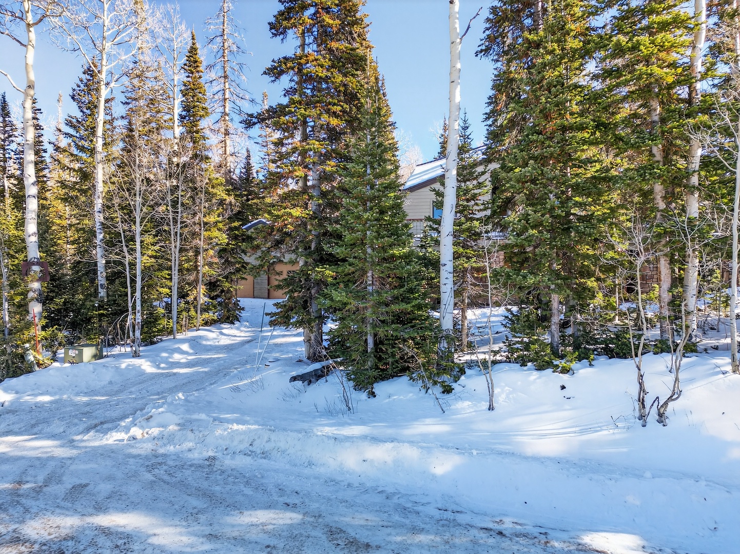 Winter wonderland retreat nestled among snow-covered evergreens and birch trees in a pristine mountain setting.