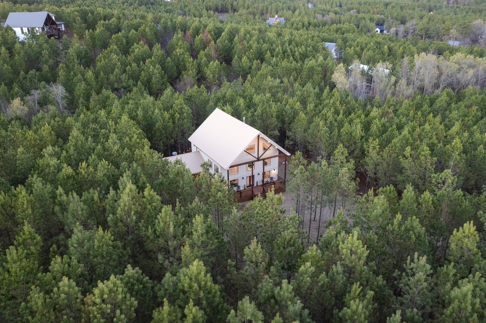 Secluded modern retreat nestled among towering forest canopy with spacious decking and contemporary architecture for peaceful getaway.