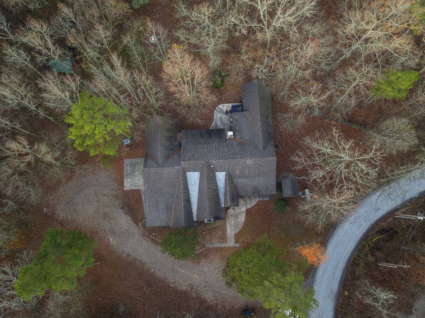 Modern property nestled in secluded natural setting with mature trees and seasonal foliage creating a peaceful wooded environment.