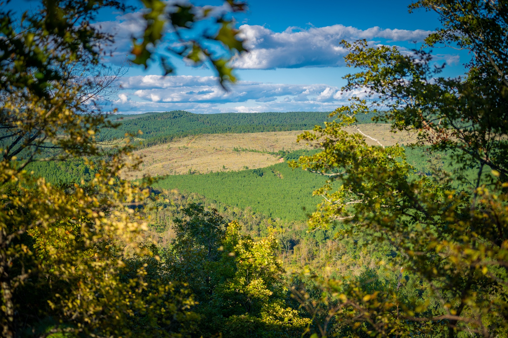 Rolling hills and dense forest create a peaceful countryside setting in the surrounding area.