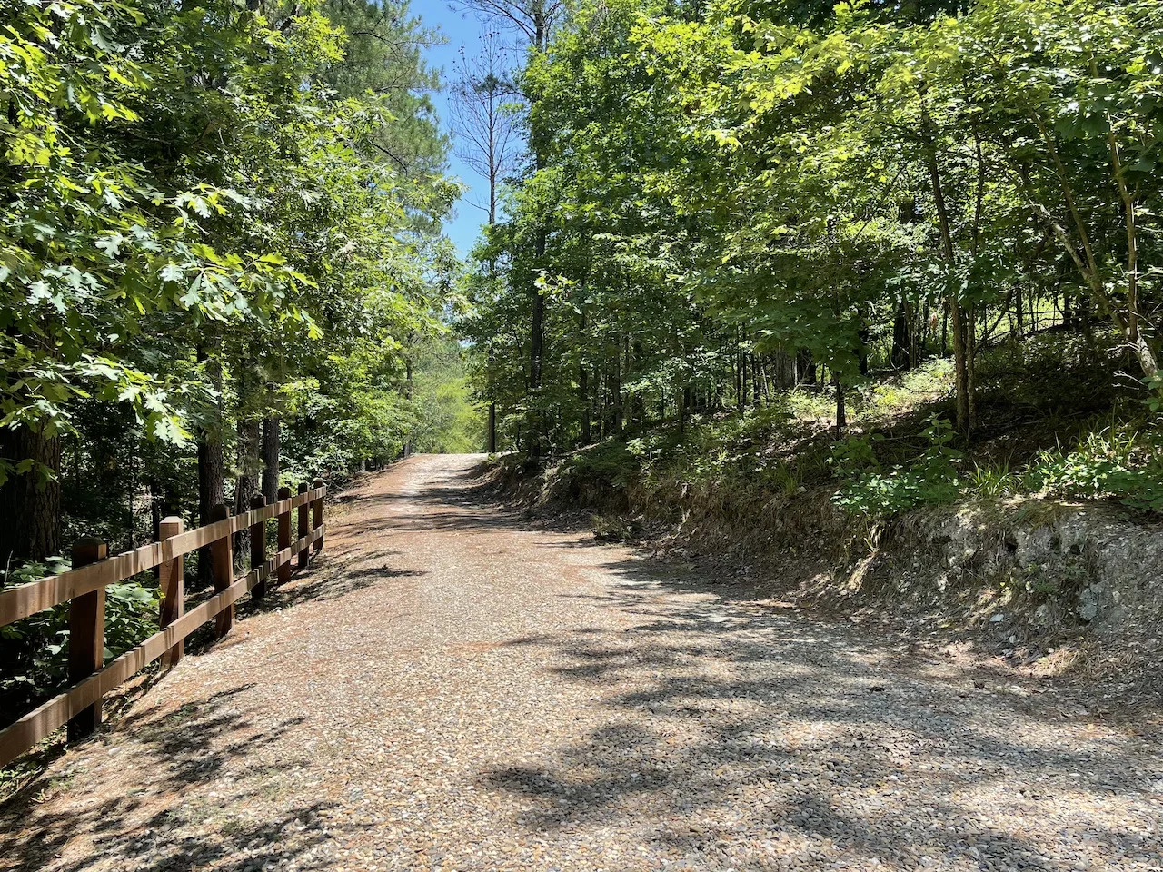 A gravel driveway winds through lush green forest, marking the peaceful approach to the property surrounded by towering trees and natural beauty.