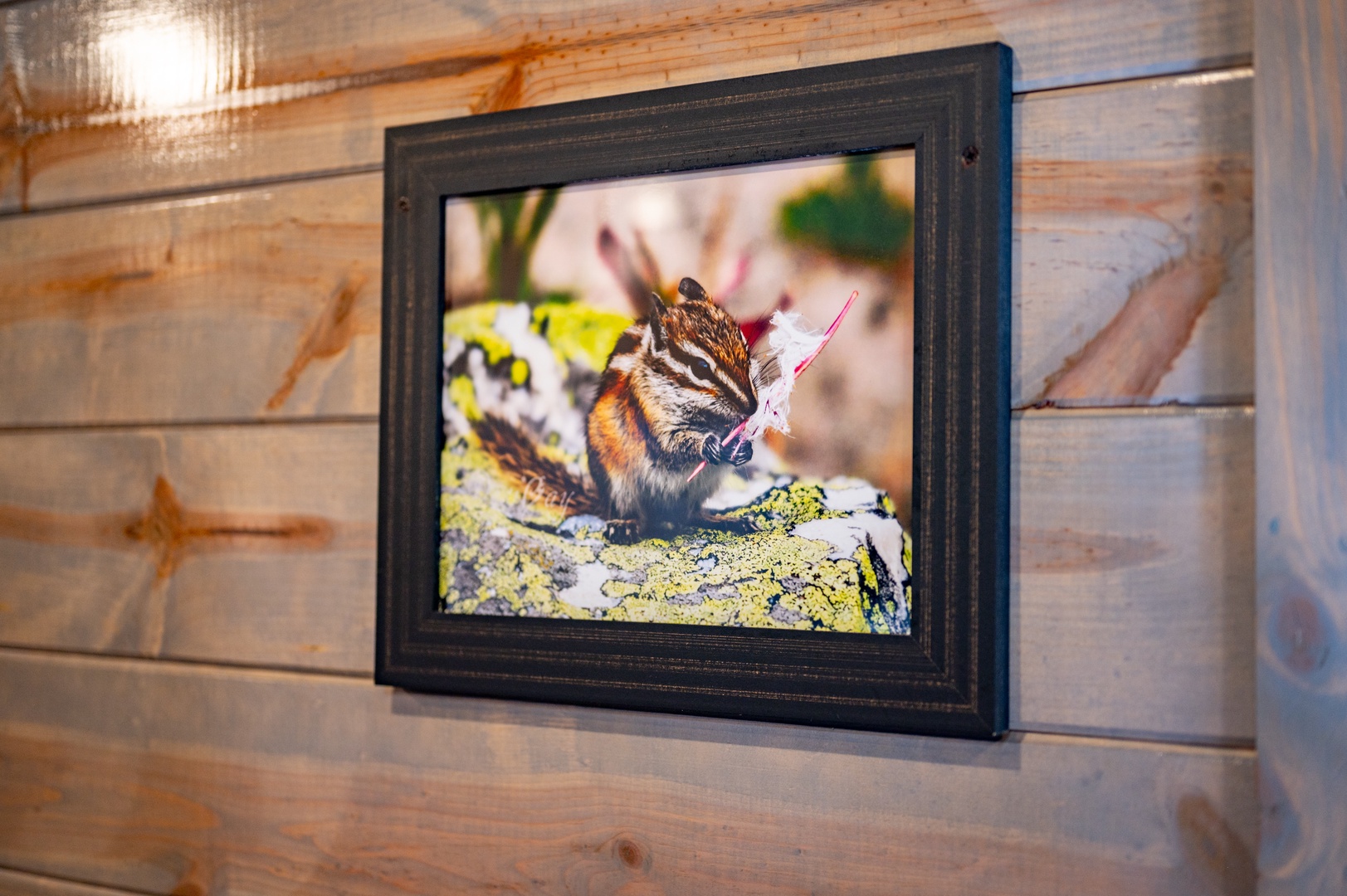 Charming nature photography adorns your cabin walls, bringing the local wildlife indoors with beautiful forest creatures.