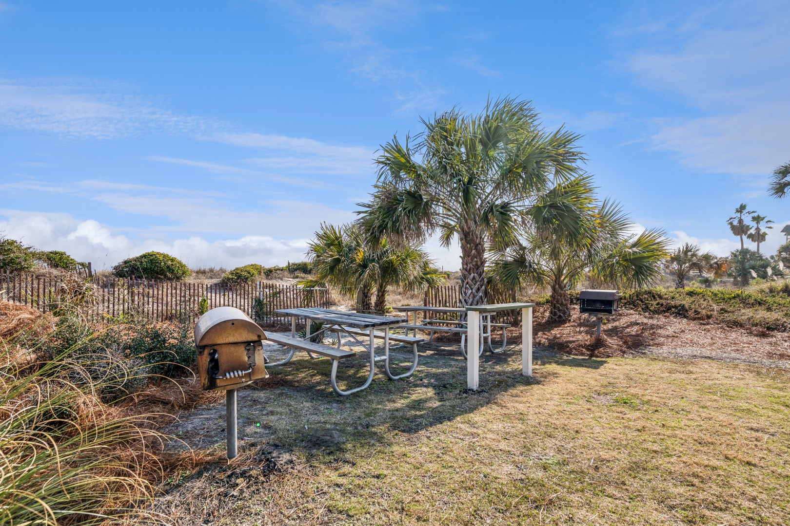 Coastal picnic area features palm trees and outdoor tables in a natural beachside setting with ocean access nearby.