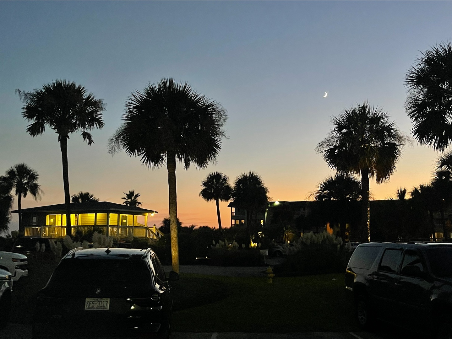 Tropical palm trees frame a peaceful evening scene with golden-lit buildings and crescent moon overhead.