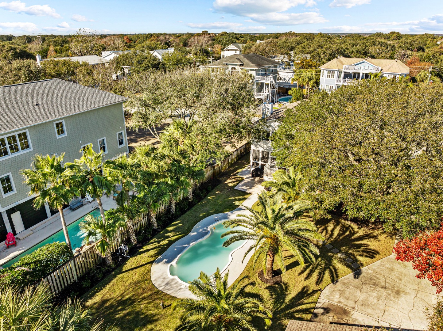 Elevated coastal neighborhood with tropical homes nestled among native trees and palms, featuring swimming pools and mature landscaping.