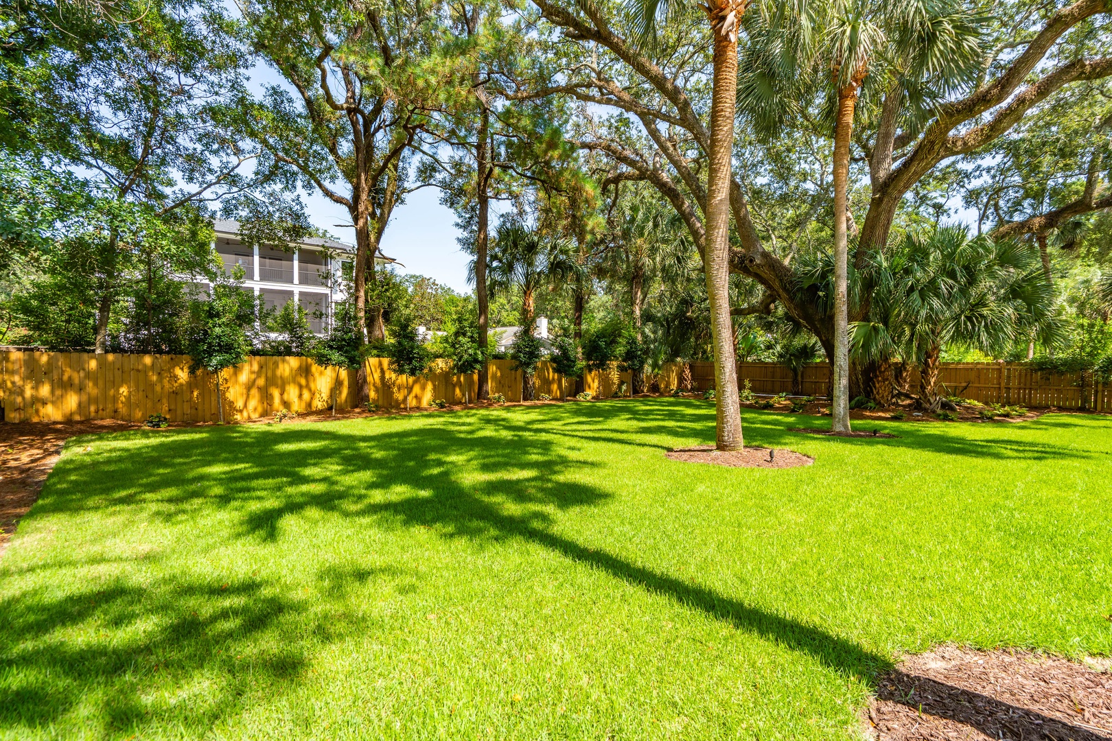 A sunny backyard features a lush green lawn shaded by towering palm trees and mature oaks, enclosed by a wooden privacy fence—perfect for relaxing or outdoor gatherings.