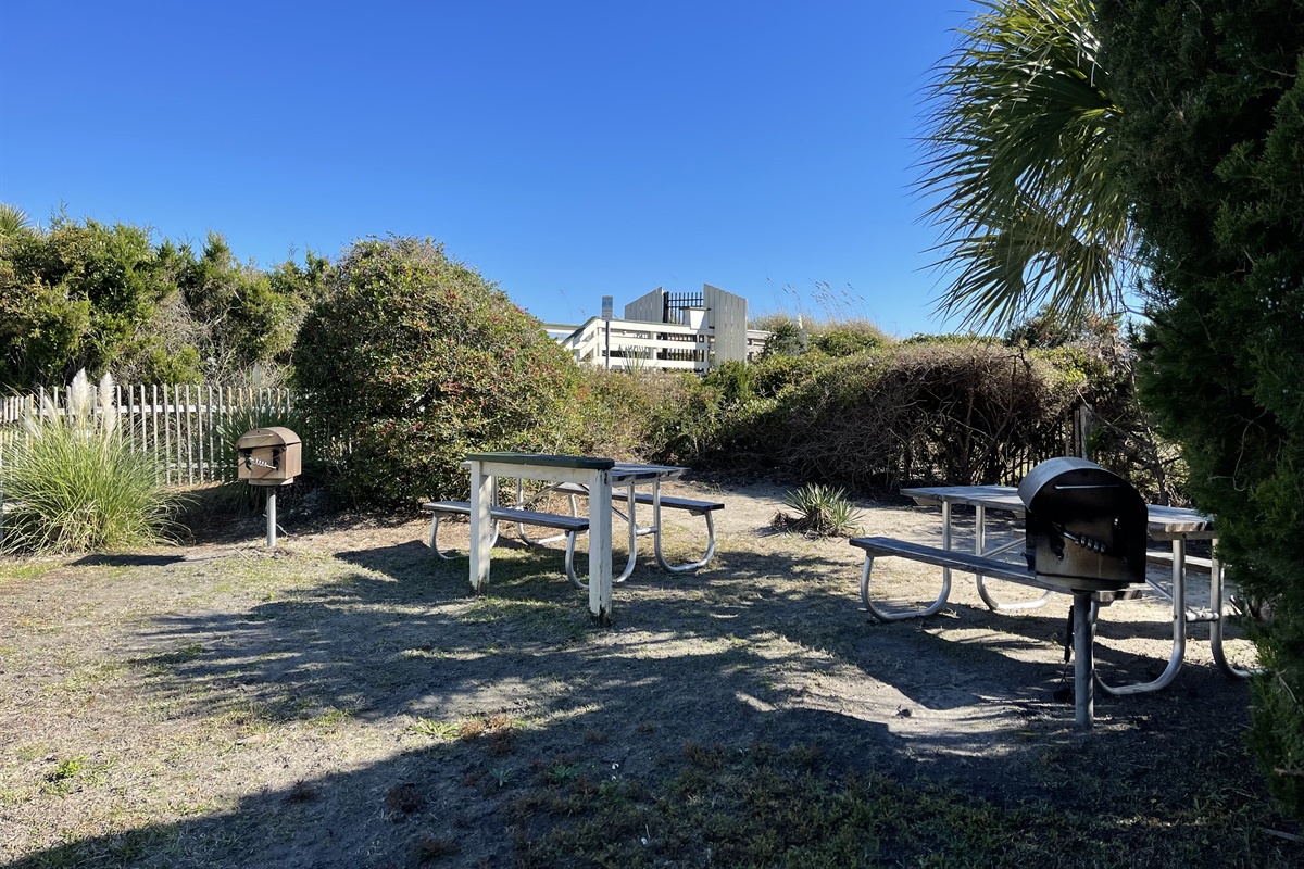 Spacious BBQ area with picnic tables awaits your outdoor gatherings, surrounded by native plantings under clear blue skies.