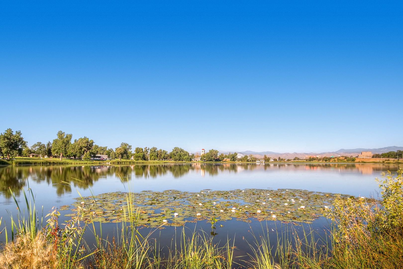 A serene lake surrounded by lush greenery and distant mountains, with lily pads dotting the tranquil water under clear blue skies.