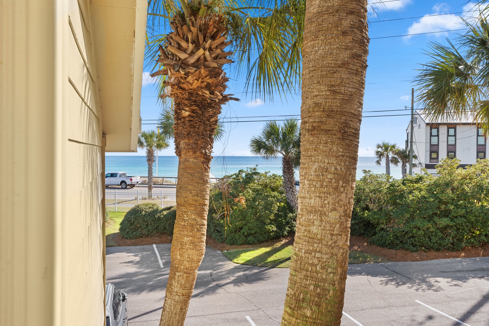 Beachfront property with palm trees and ocean views in a tropical coastal setting.