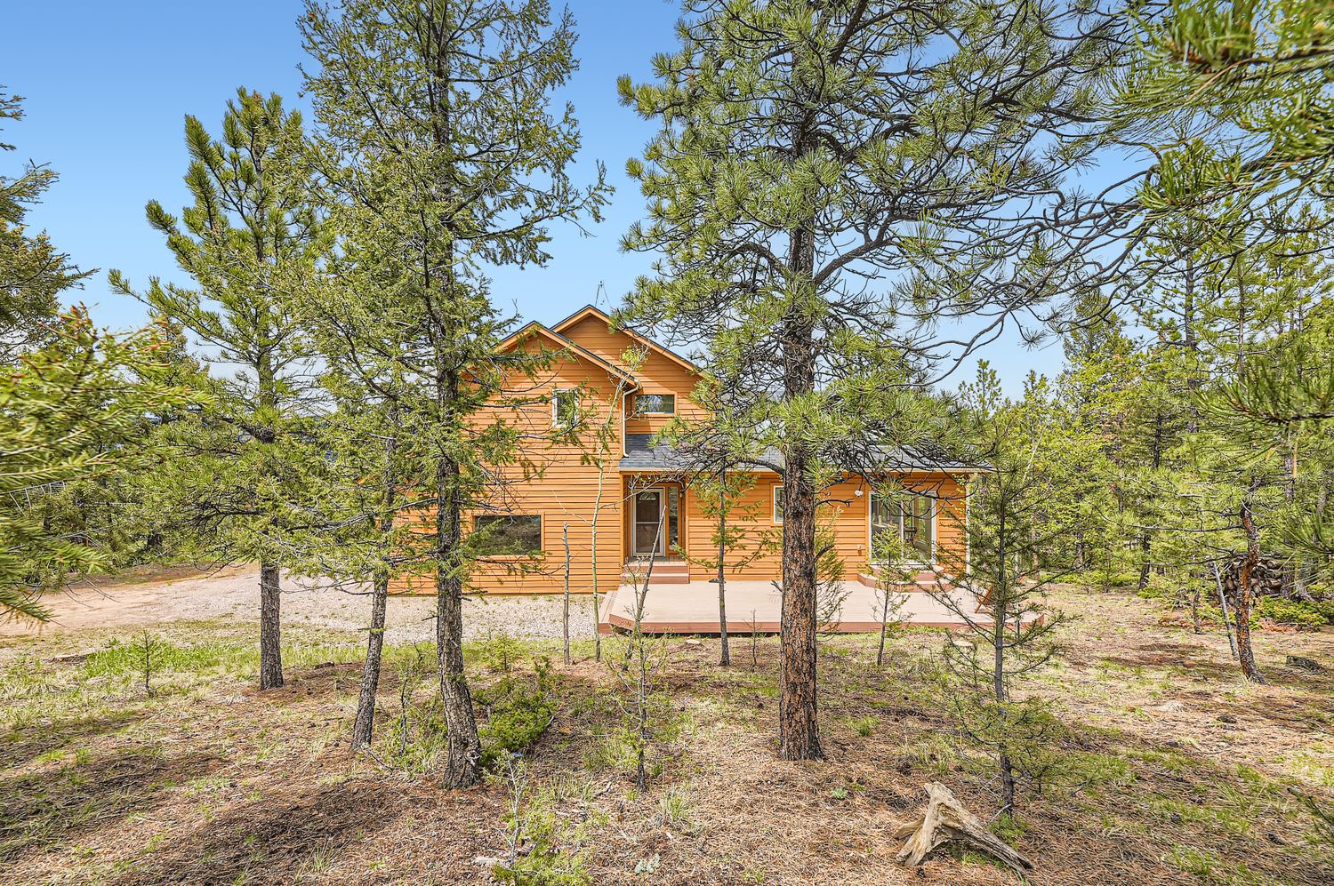 Charming cedar cabin nestled among towering pines offers peaceful forest retreat with spacious design and natural beauty.