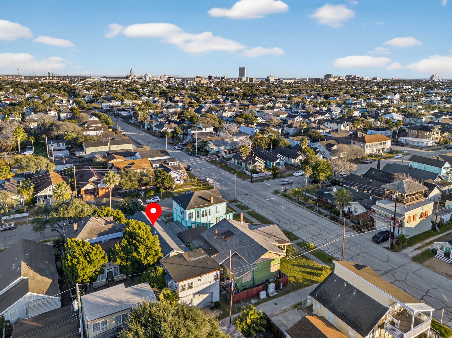Aerial view of the residential neighborhood showing tree-lined streets and the skyline in the distance.