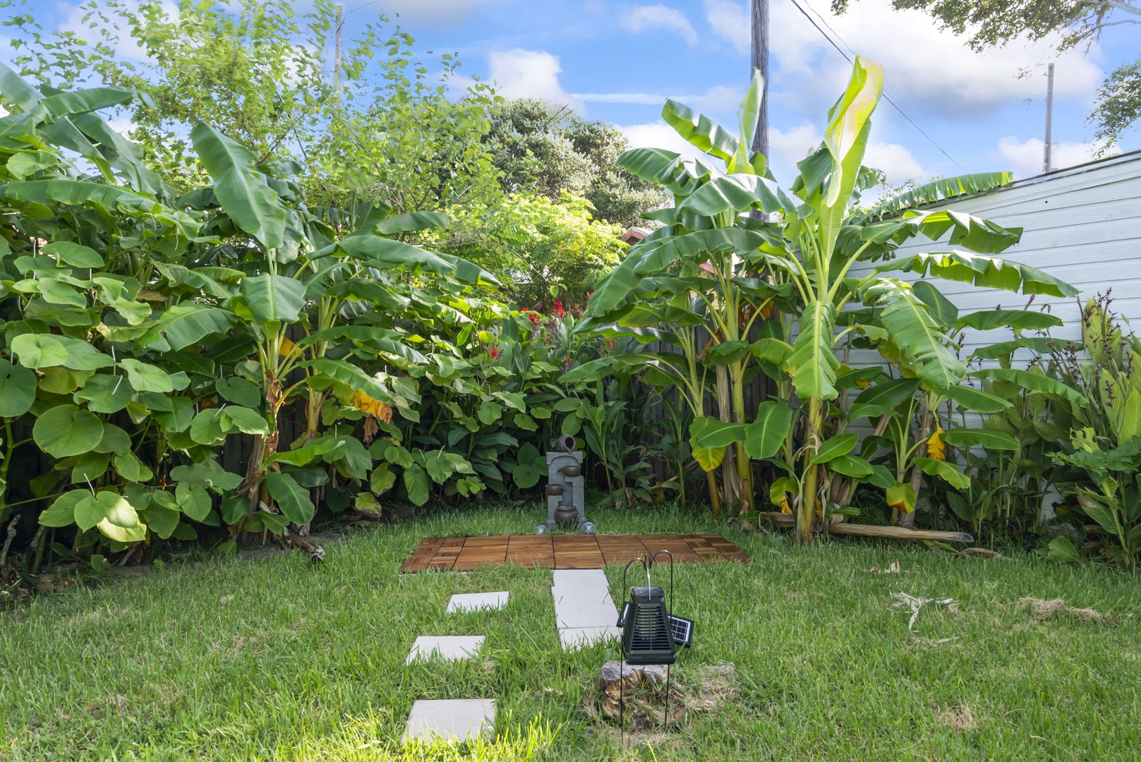 Serene tropical oasis with banana trees and lush greenery.