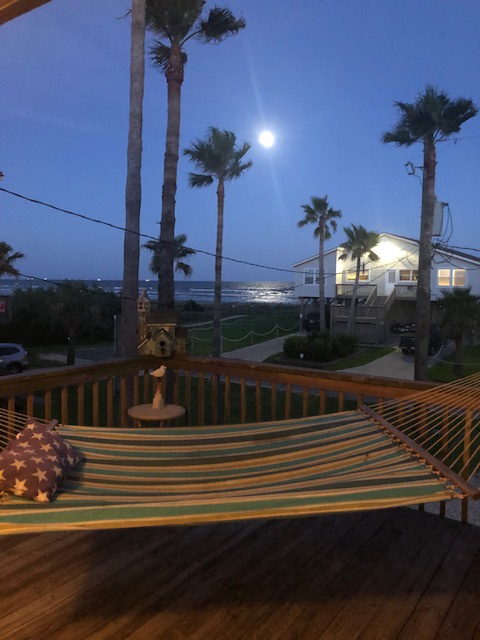 Evening moonlight illuminates palm trees and nearby coastal homes from this peaceful deck setting.