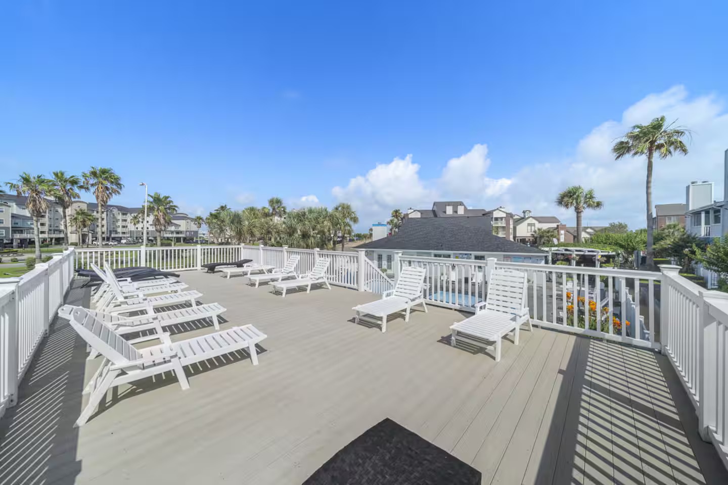 Rooftop oasis with loungers and palm views