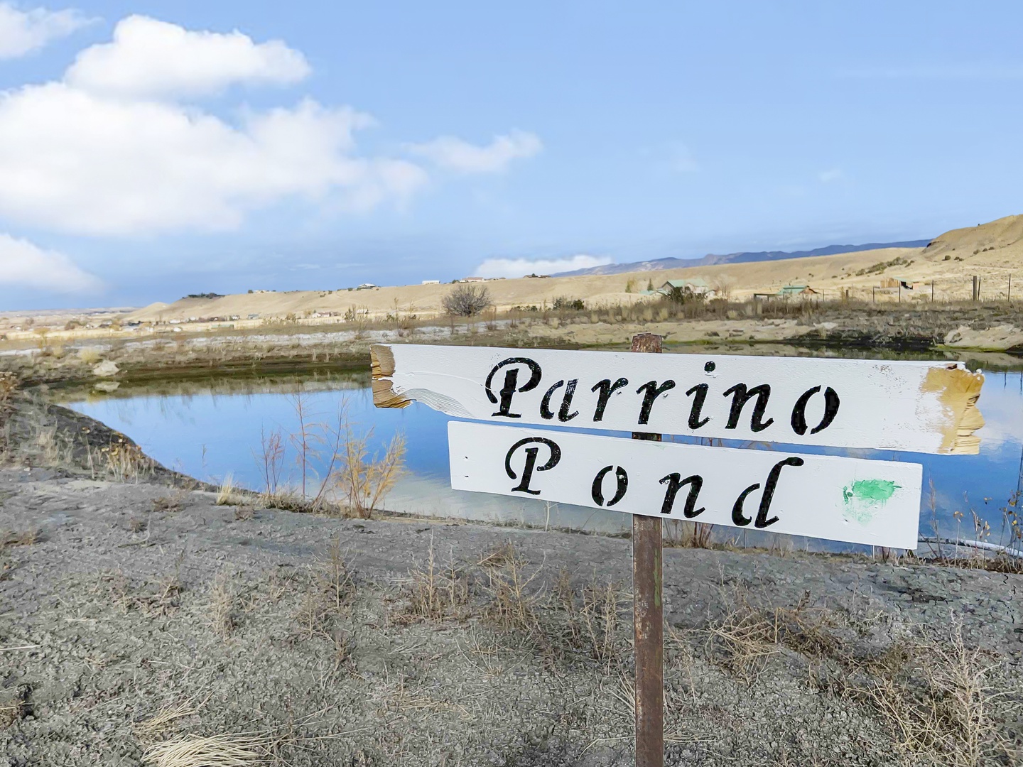 Nice Pond on property in summer months