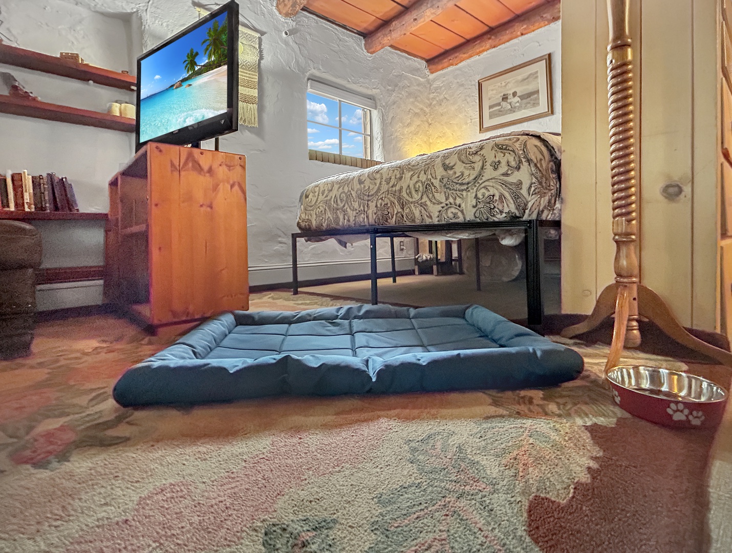 Furry friends are welcome!