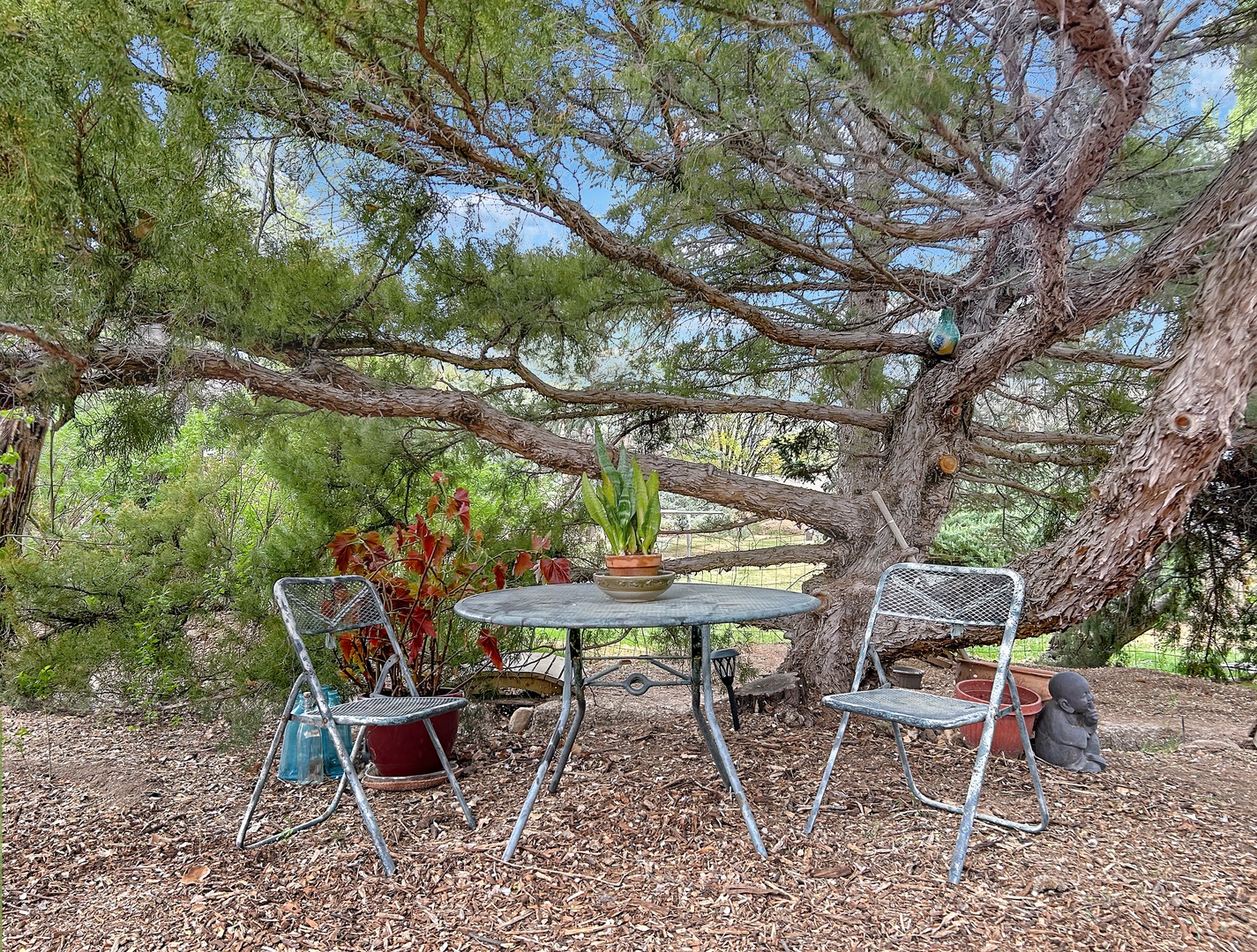 Find your perfect spot for morning coffee or evening wine under the shade of this majestic tree, where nature creates your outdoor dining room.