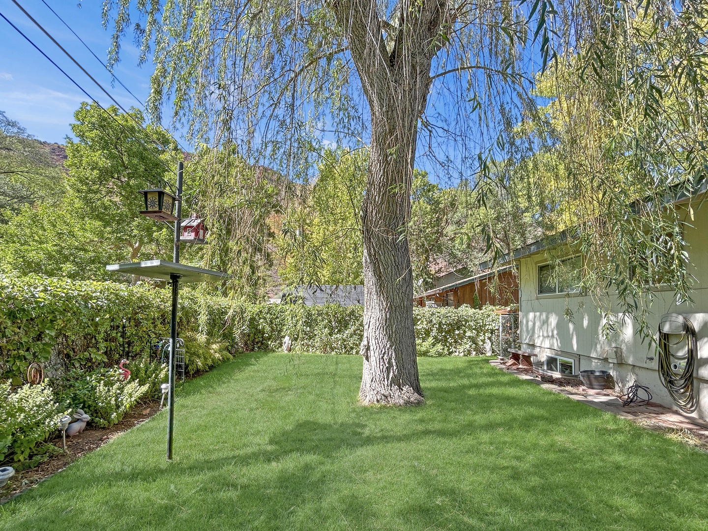 A tranquil backyard retreat highlighted by a mature willow tree providing generous shade and comfort.