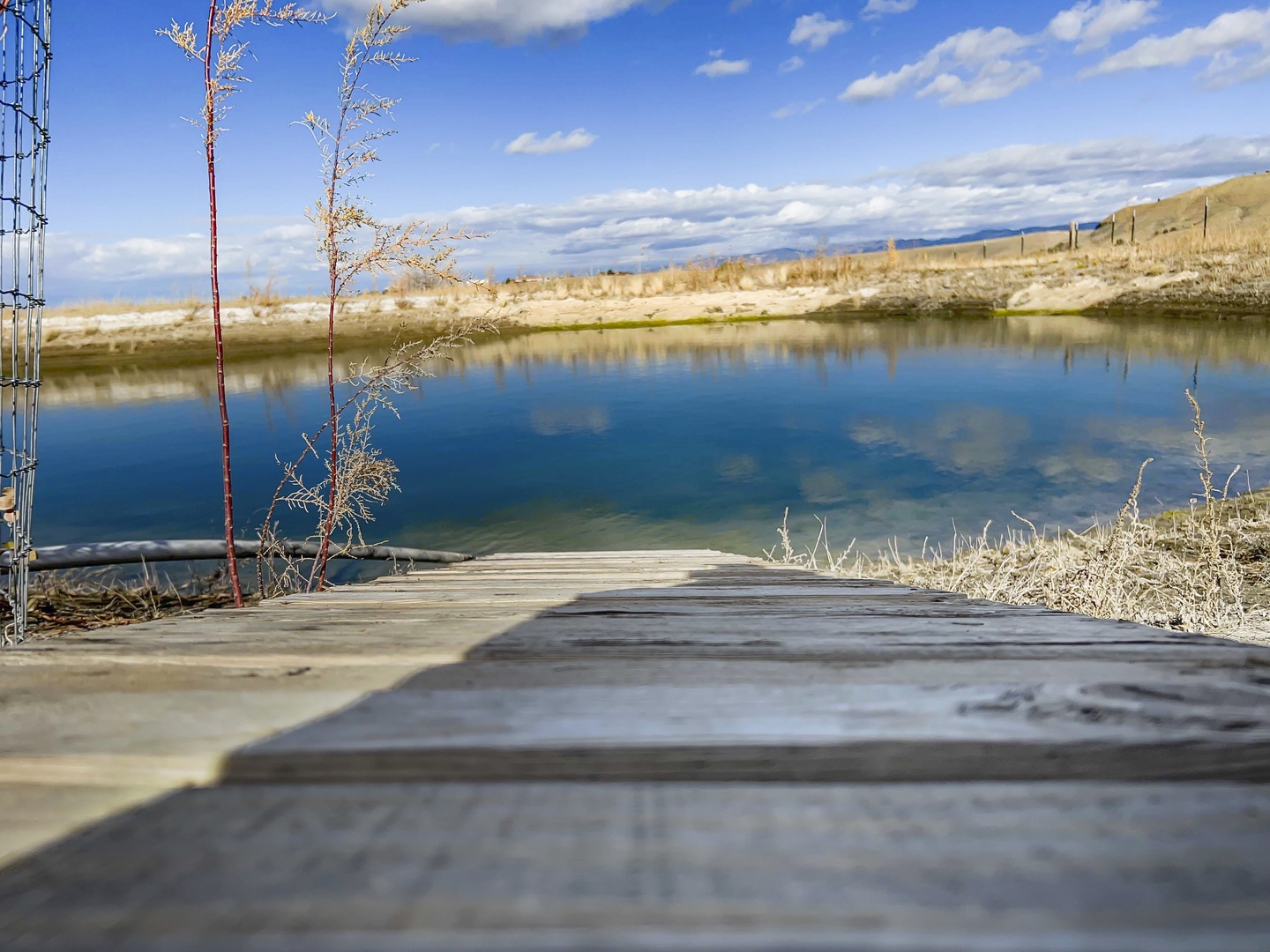Trails around the pond