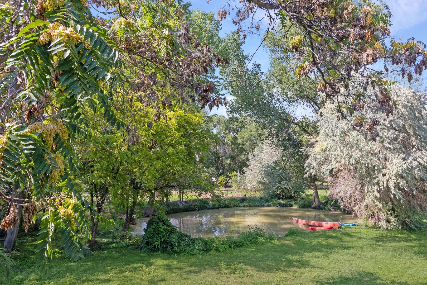 A tranquil pond framed by mature trees and lush greenery, with kayaks ready for exploration on the water.