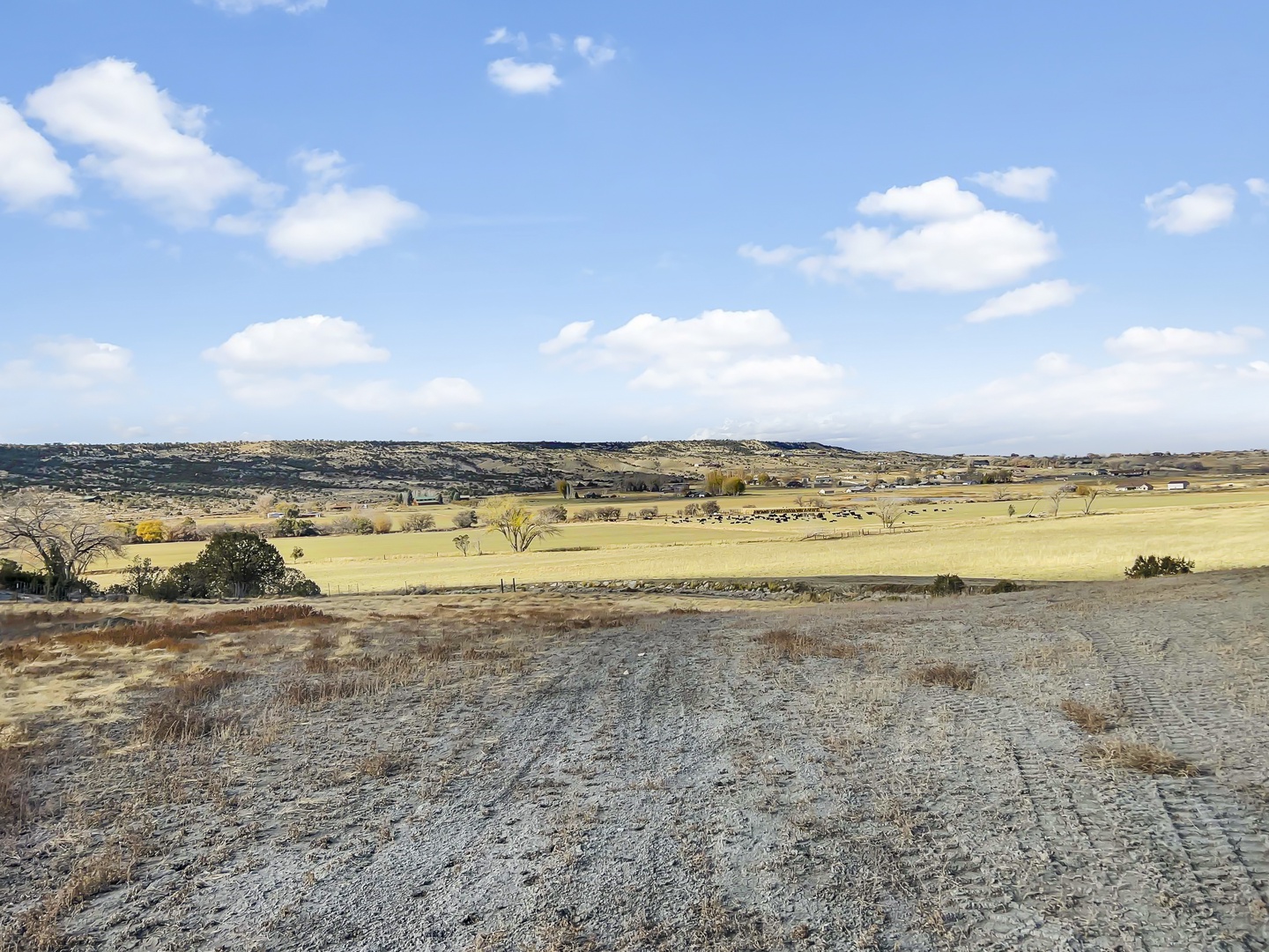 Surrounding Landscape