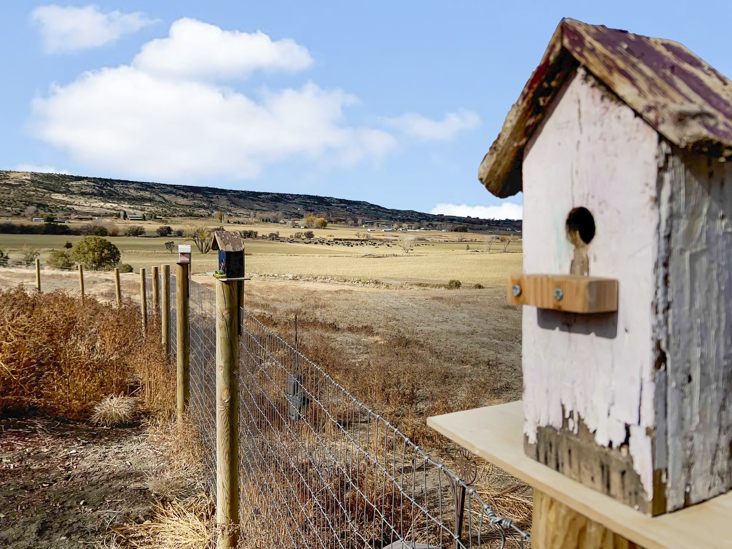 Birdhouse on fence post