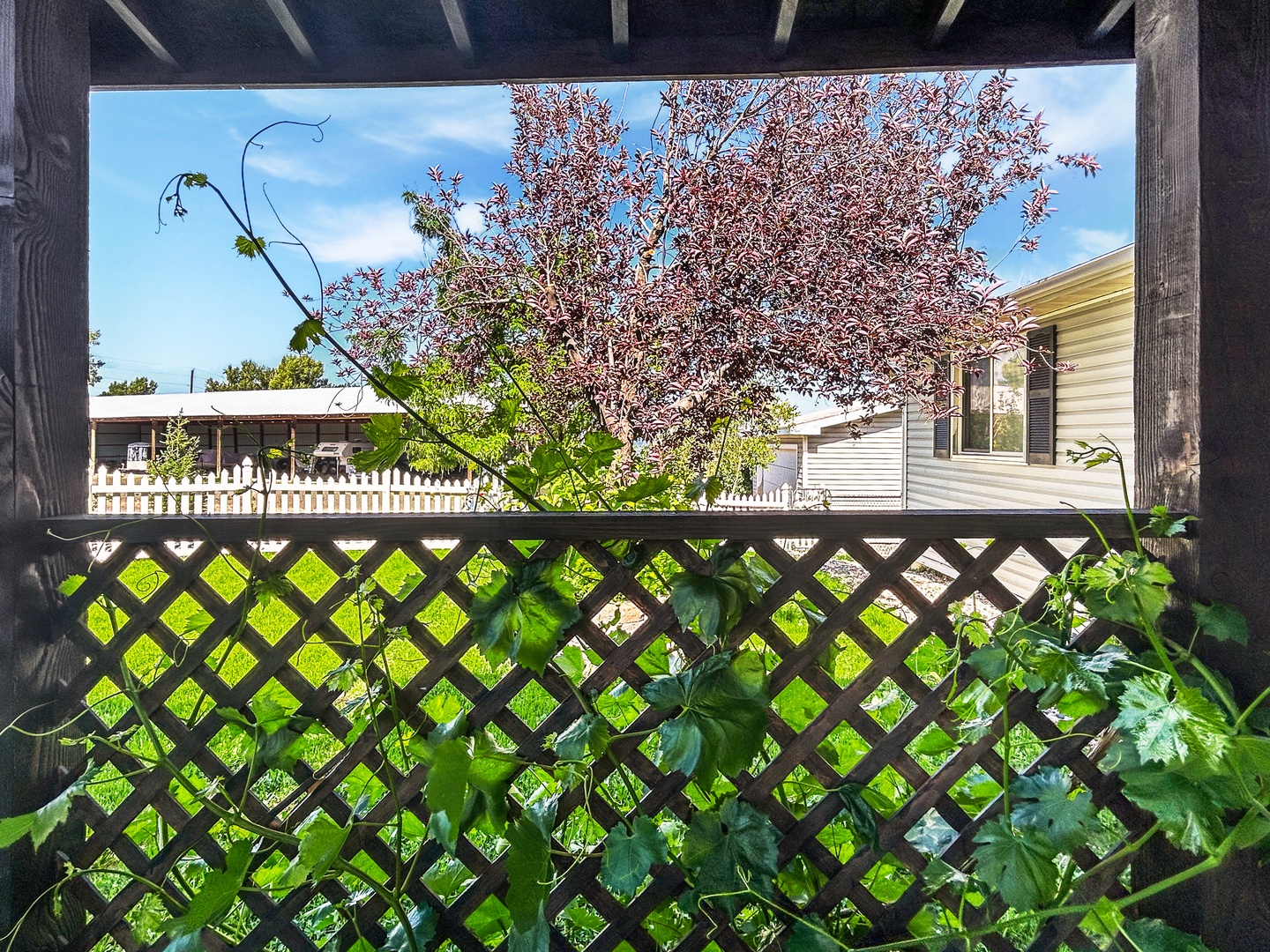 Enjoy garden views and natural privacy from your vine-covered private patio.