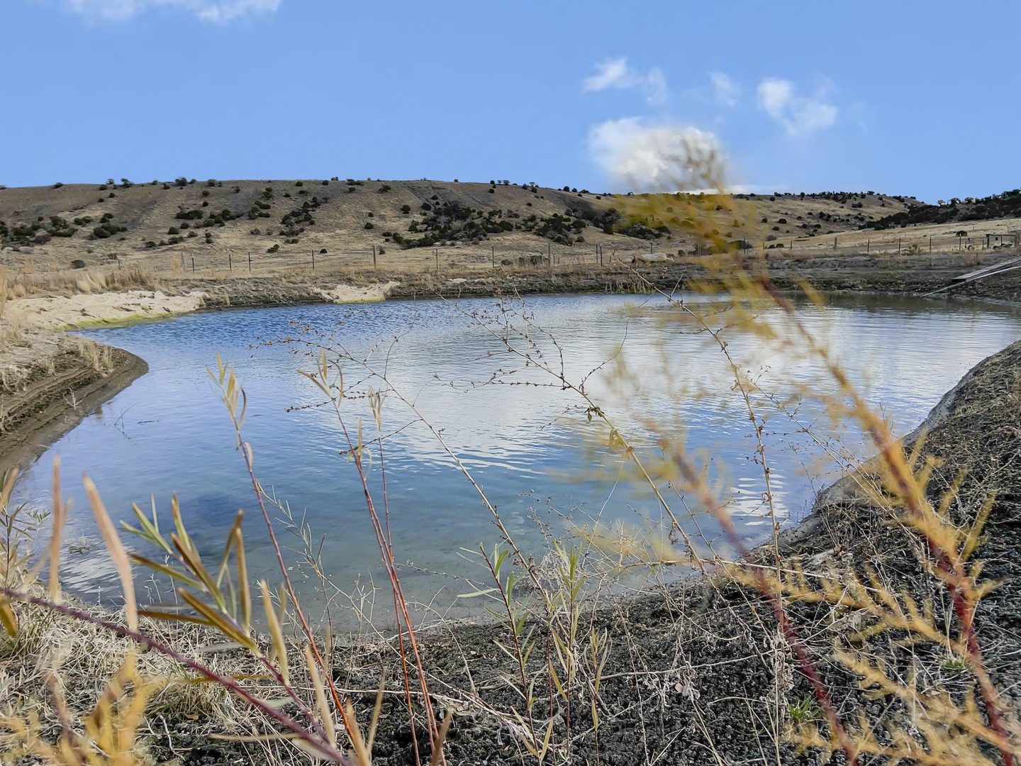 Nice pond on property in summer