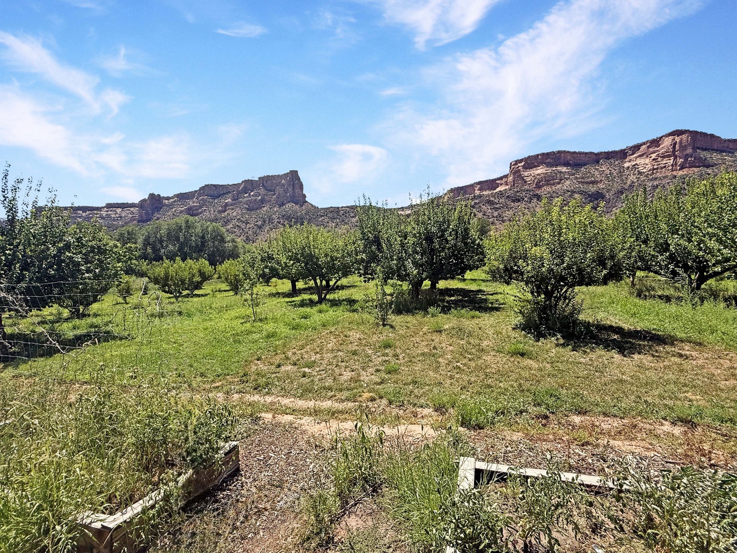 The property sits nestled in a serene "You Pick" orchard landscape surrounded by towering desert views.