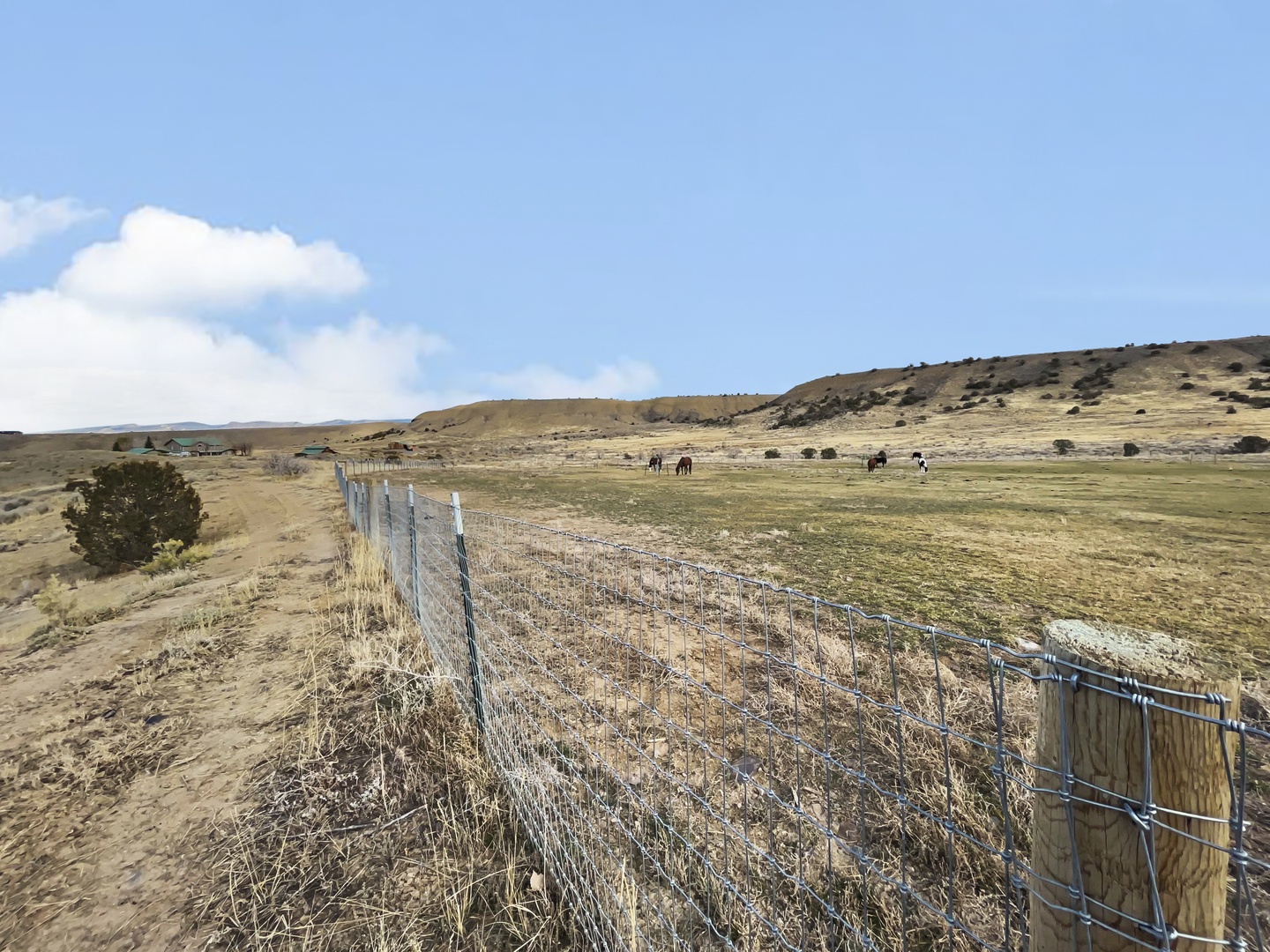 Surrounding Landscpae