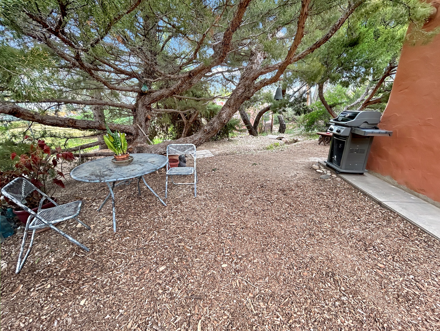 Relax under the sprawling shade tree in your private outdoor sanctuary, complete with gas BBQ for sunset grilling sessions.