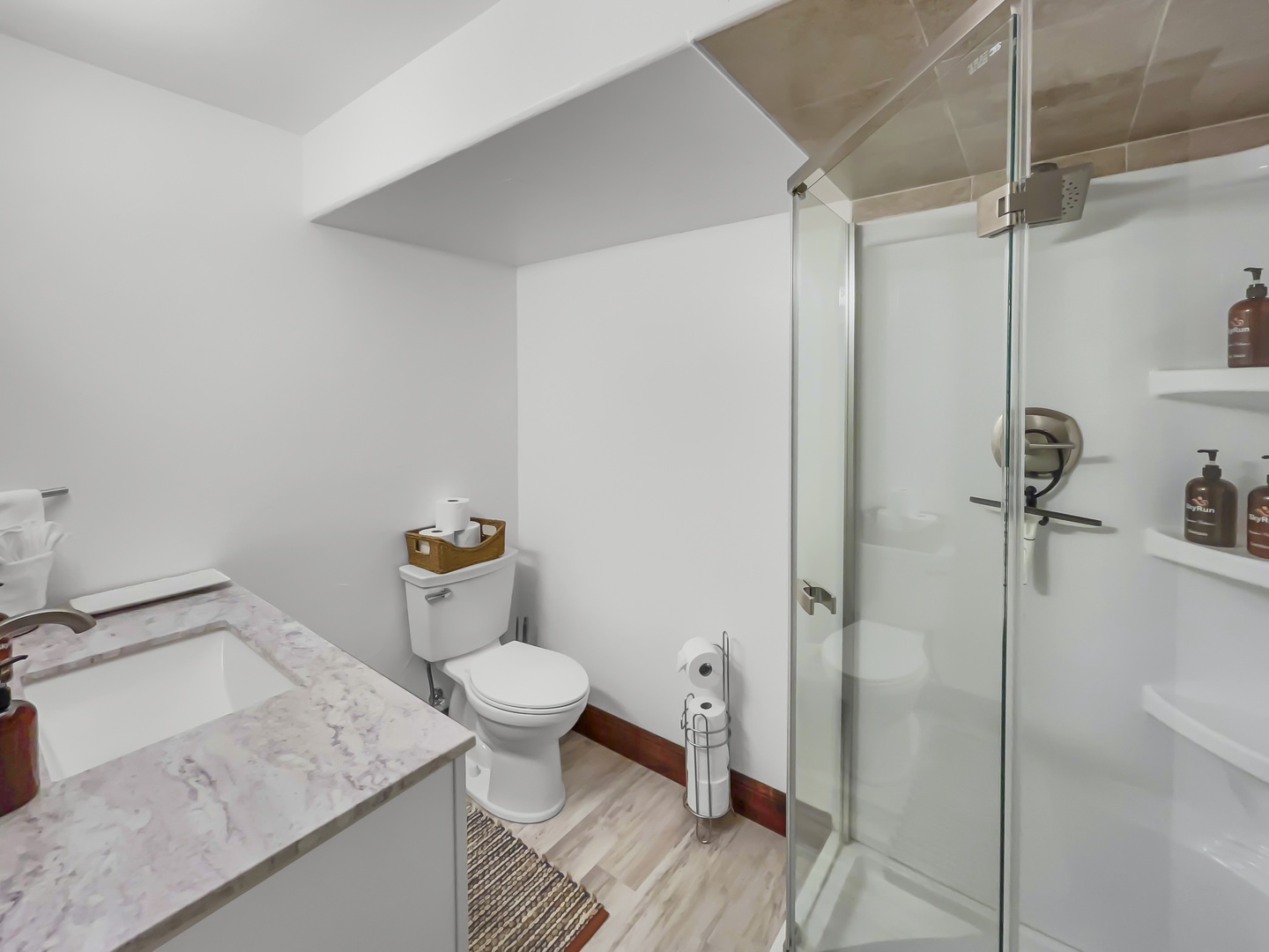 Downstairs Bathroom by the living room