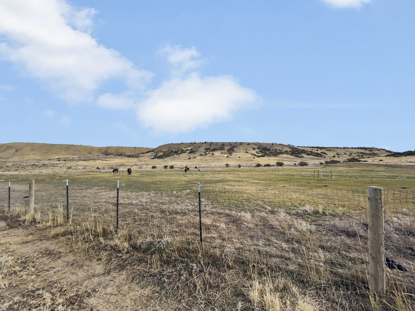 Surrounding Landscape