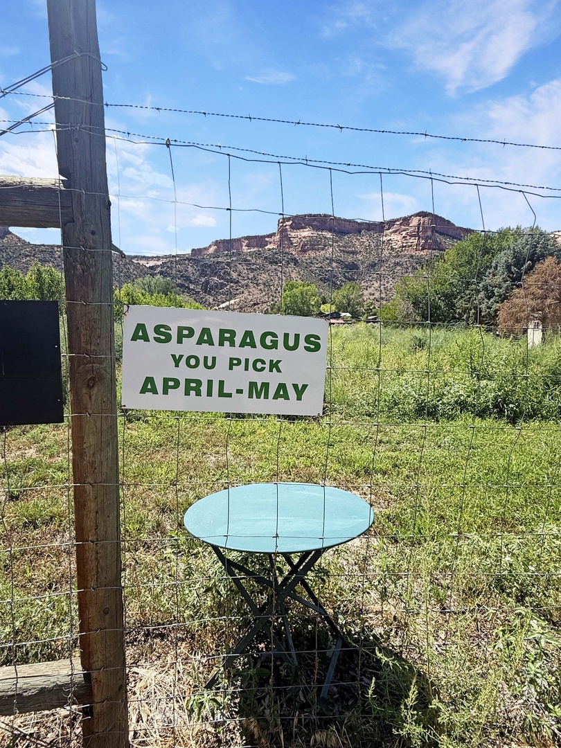 An asparagus farm offering April-May seasonal picking experiences, set against scenic desert cliffs and open fields in a rural area near the property.
