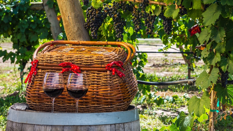 Sip wine At Any Of The Many Local Restaurants