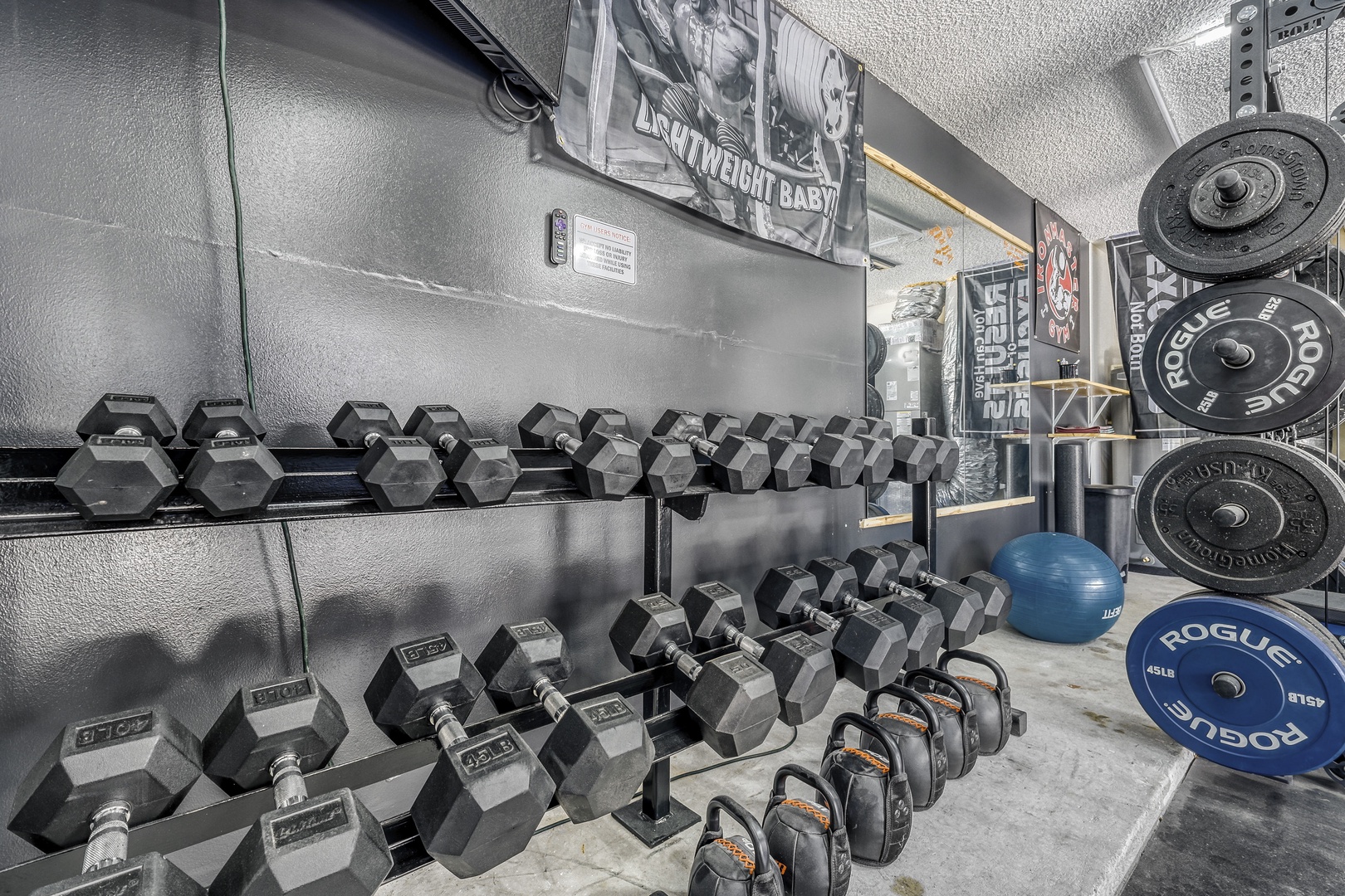 Professional-grade dumbbells and Olympic plates.