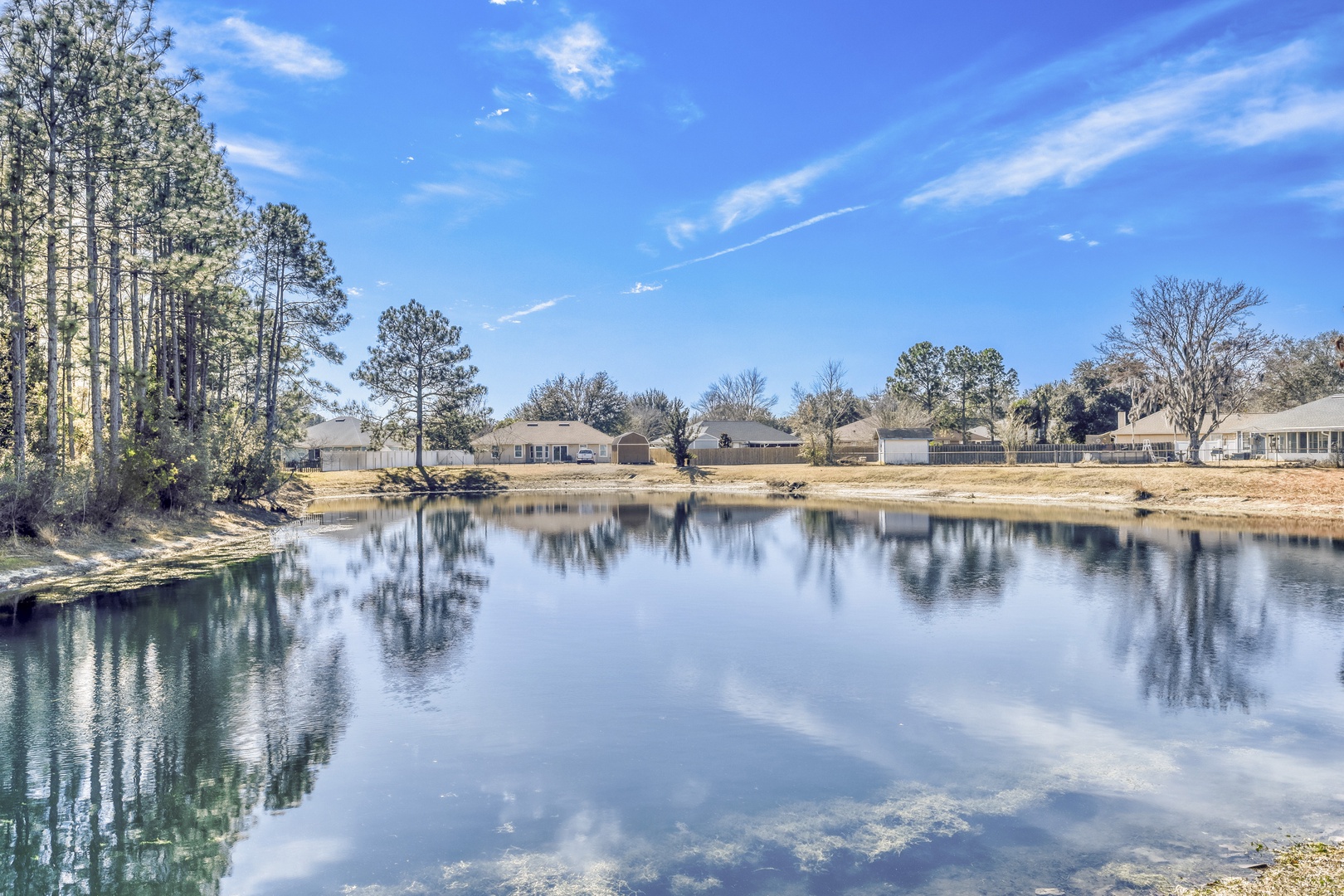 Fresh water fishing in the backyard.