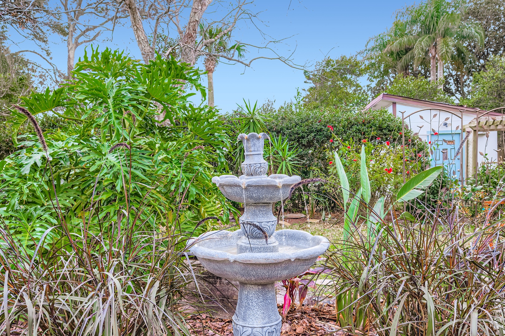 Tranquil fountain, tropical garden oasis