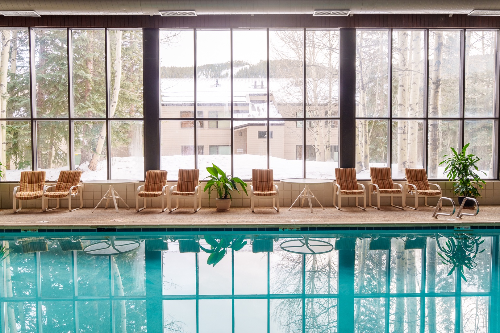 Relax by the crystal-clear indoor pool with serene winter forest views through floor-to-ceiling windows.