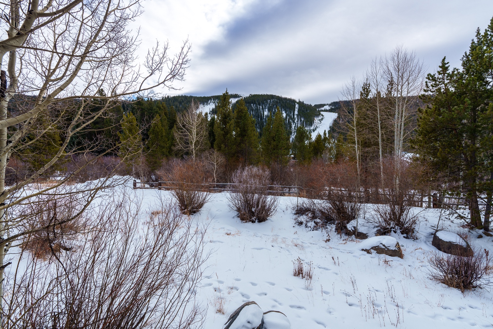 Snow-covered mountain landscape with ski slopes visible in the distance, surrounded by winter forest and natural terrain.