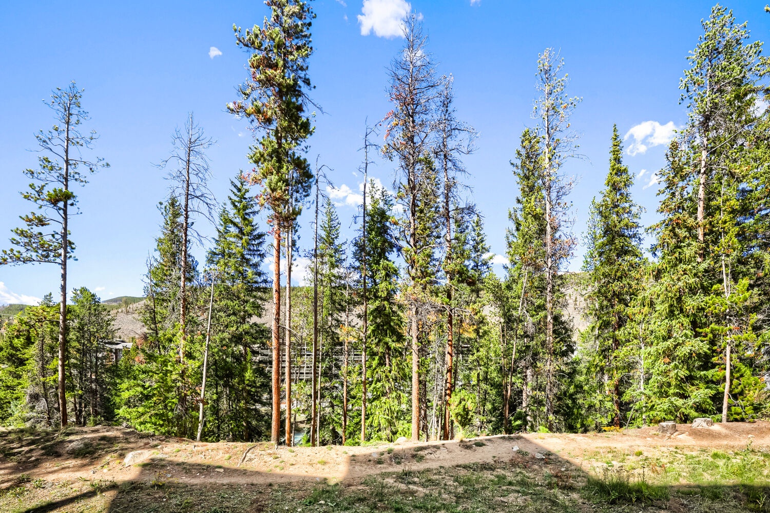 Surrounded by tall pines and mountain wilderness, this property offers a serene forested setting with natural beauty in every direction.