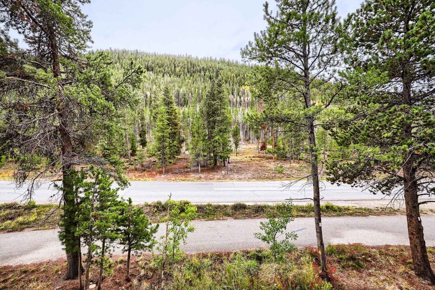 Nestled in a peaceful mountain setting, the property is surrounded by towering evergreens and natural forest, offering tranquility and seclusion in a scenic wilderness location.