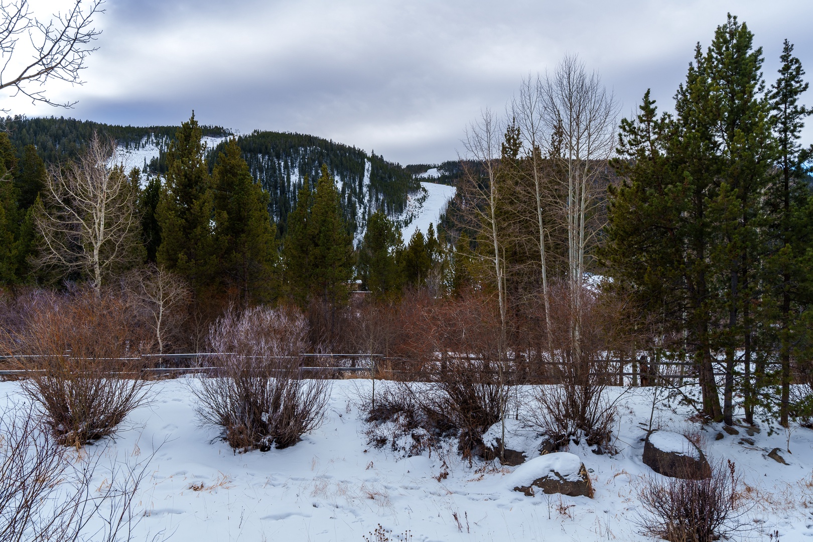 Snow-covered landscape with ski slopes visible on distant mountains, surrounded by winter forest and natural terrain.