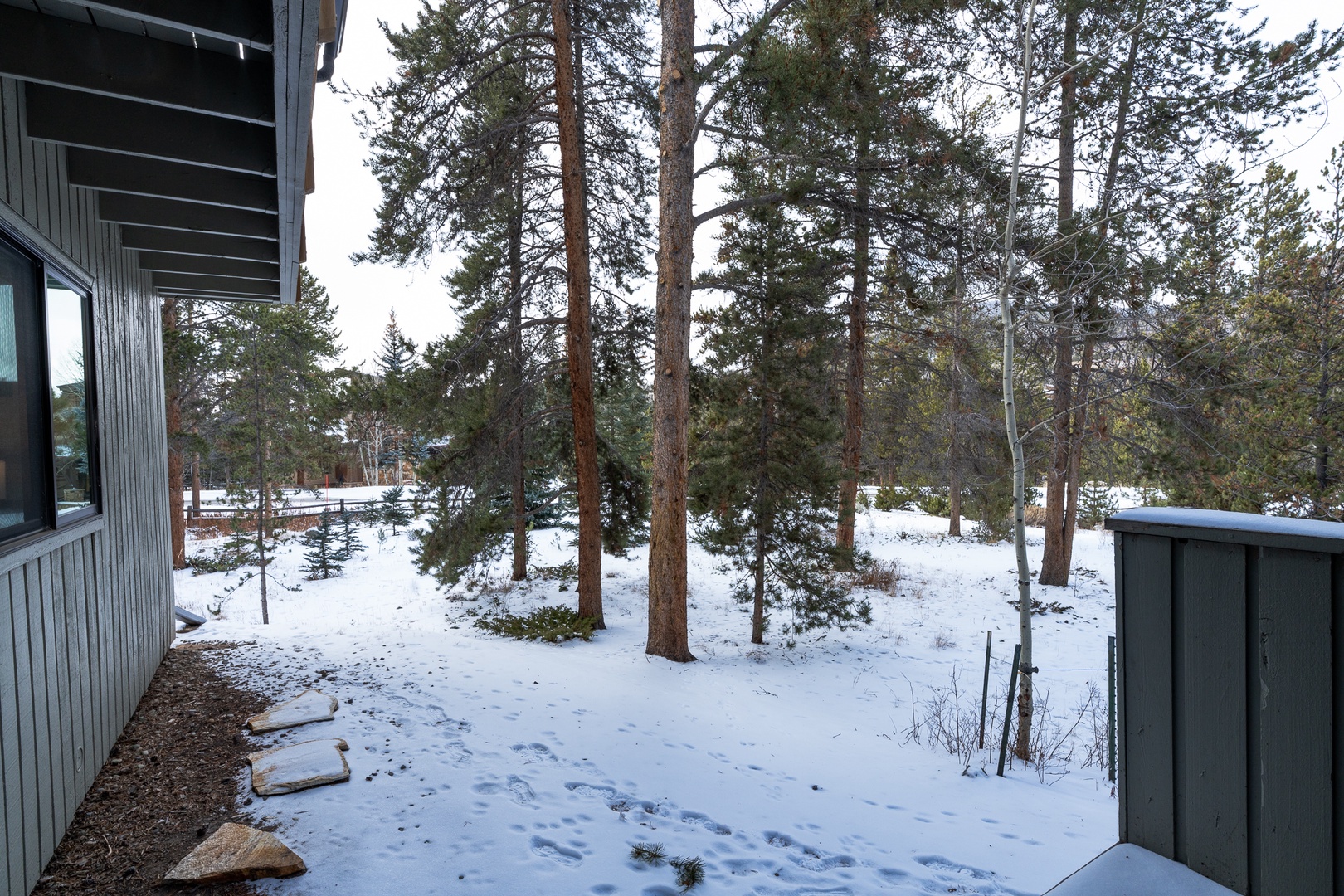 Winter forest surroundings create a peaceful natural setting near the property with snow-covered pine trees and tranquil woodland views.