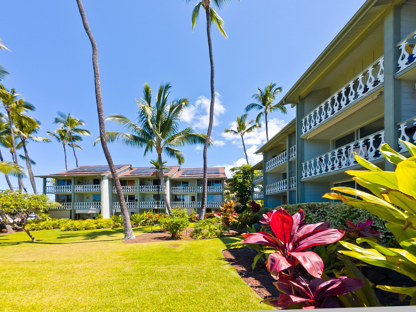 The property features tropical landscaping with palm trees and lush gardens, set against a backdrop of clear blue skies and island sunshine.