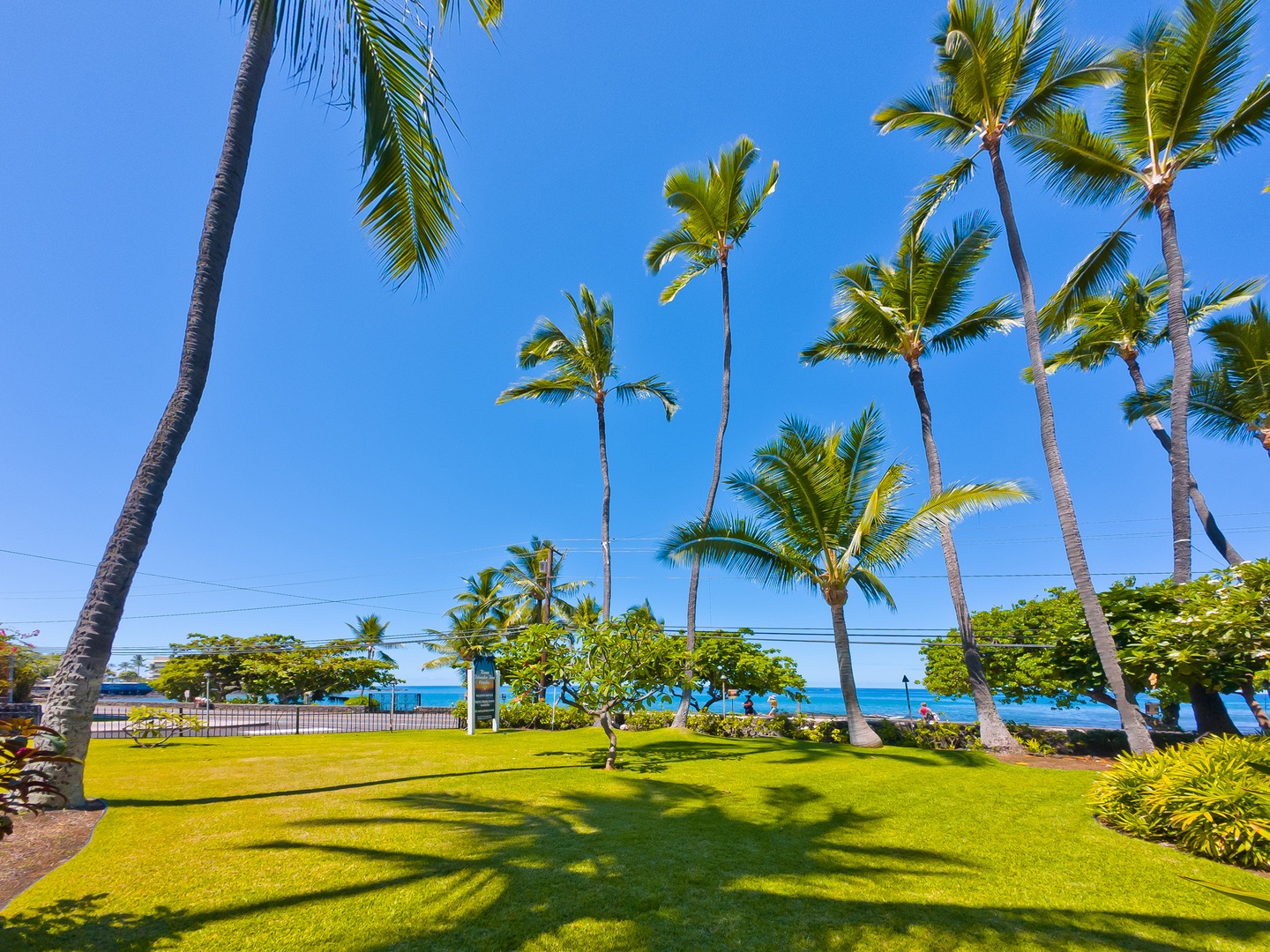 Lush tropical grounds with towering palms frame oceanfront views, offering a serene beachside escape under endless blue skies.