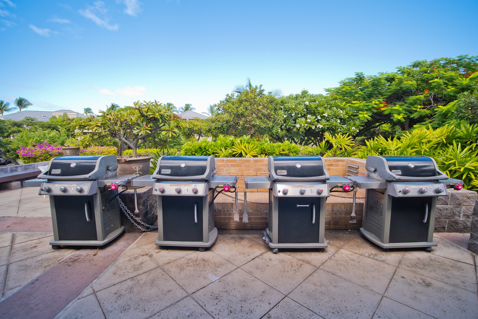 Multiple outdoor grills set against lush tropical landscaping on a spacious patio under clear blue skies, ideal for gathering with family and friends.